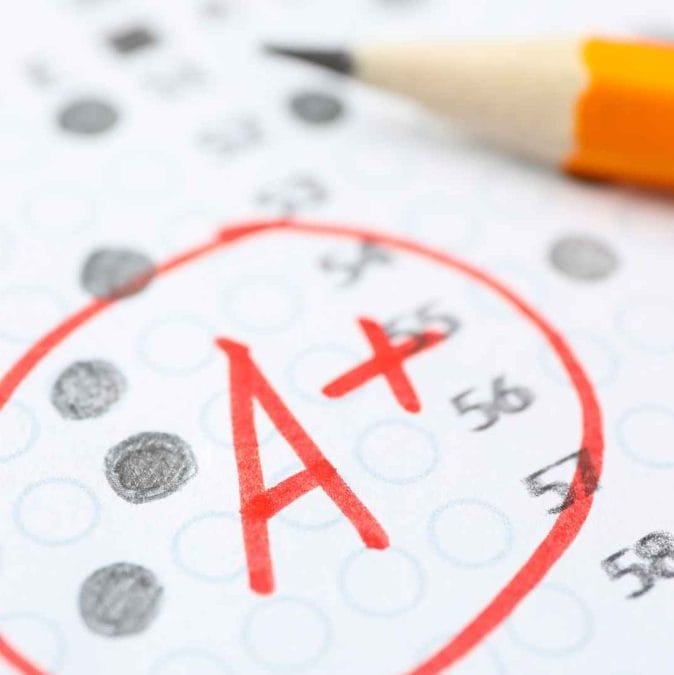 online SEND tuition (2)